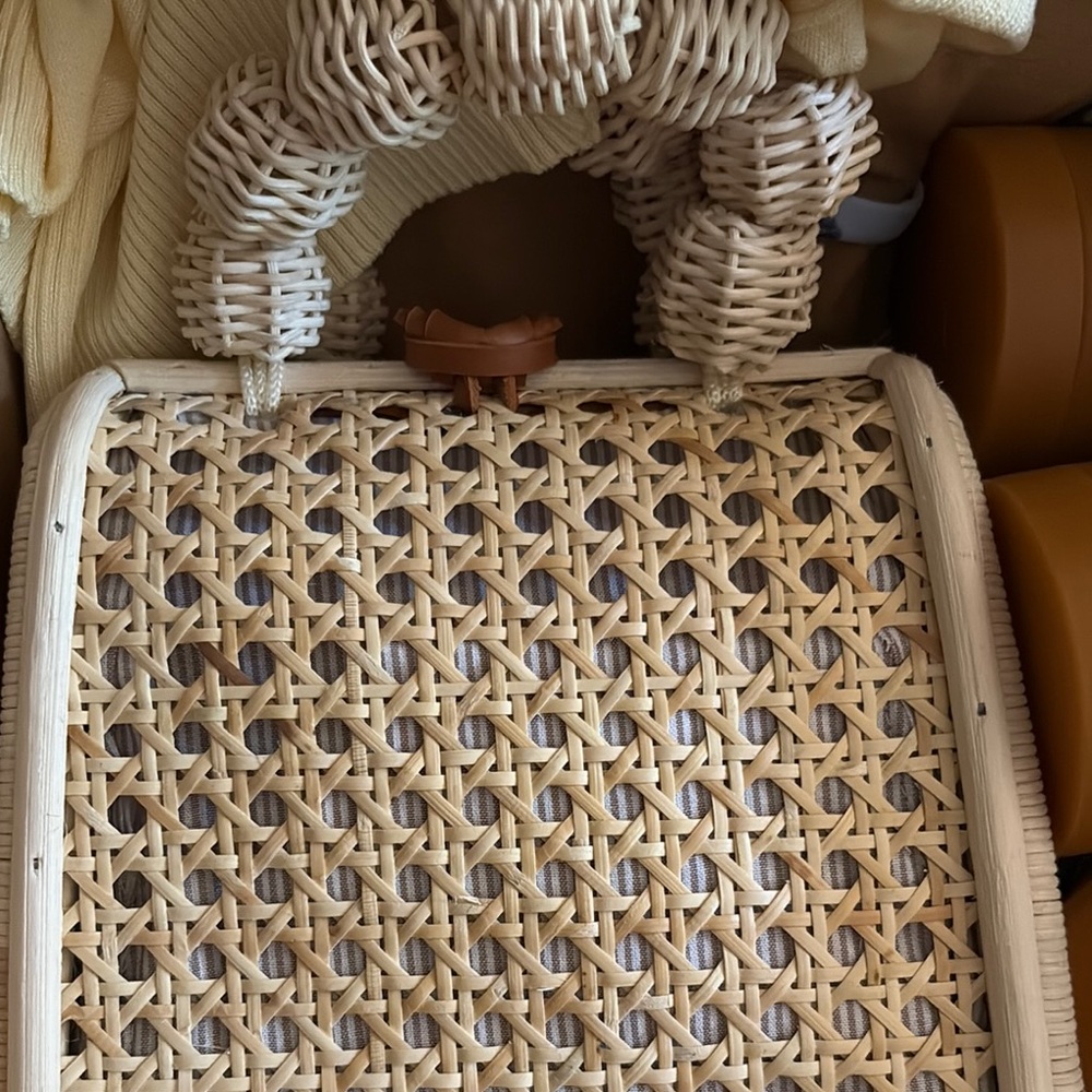 Anthropologie Tan Woven Basket Bag with Braided Handle